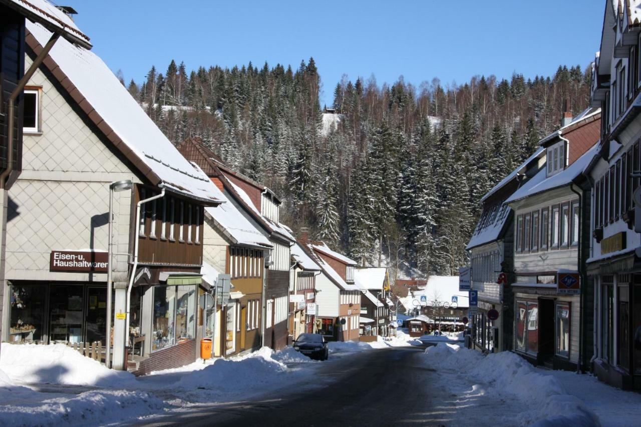 Harz-sonne